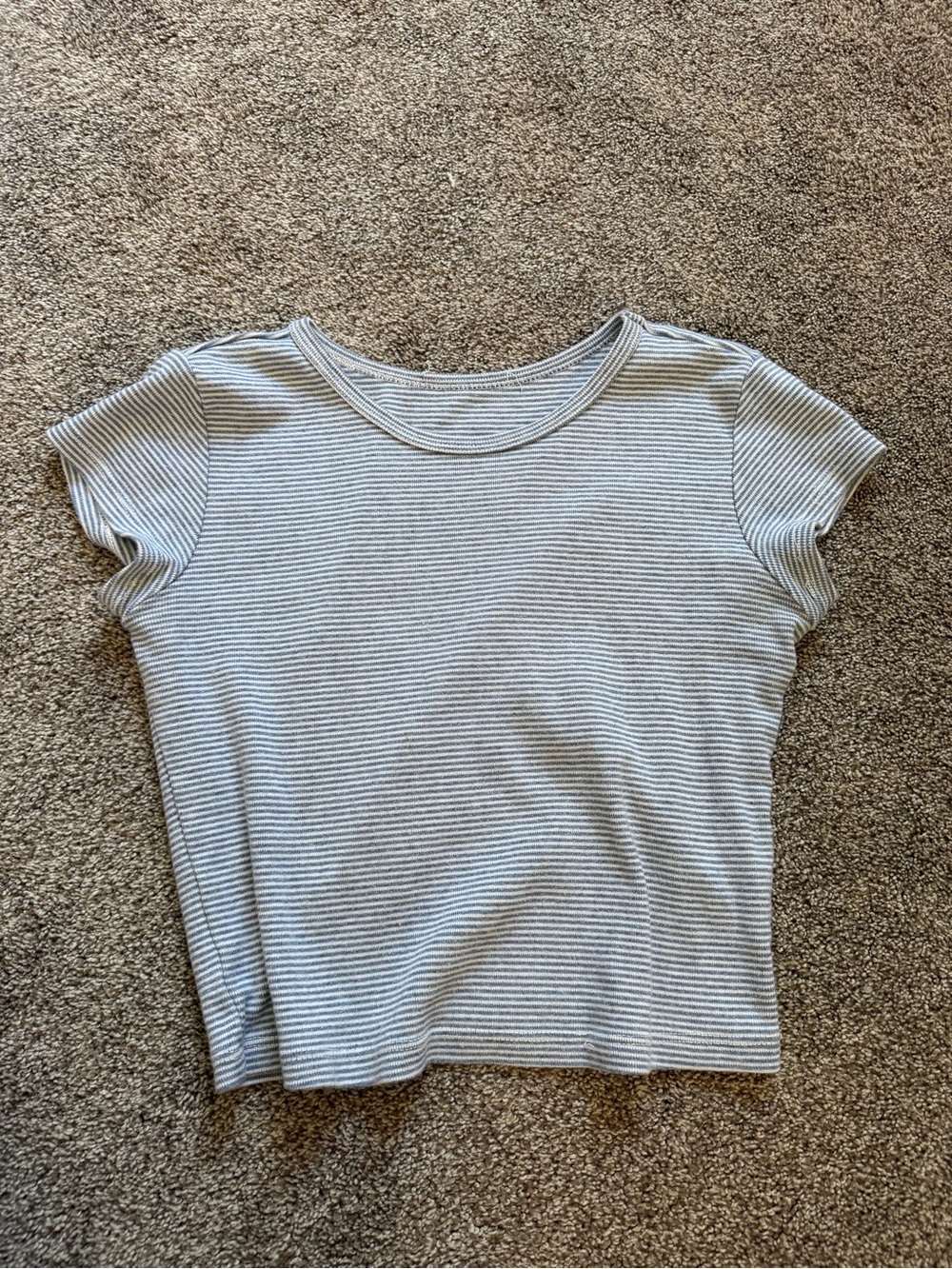 Brandy Melville Striped Short Sleeve Crewneck Top - Blue & White